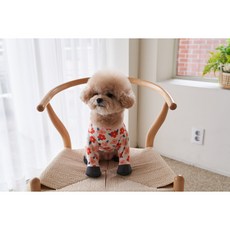 해피러시 빅플라워 하네스 올인원 신발, 1개, 핑크