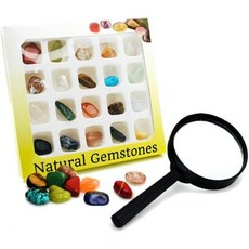 BEADNOVA 화석 만들기 키트 과학 교구 비드노바 보석 암석 컬렉션 돋보기 돋보기로 배우는 지질학 20개입 팩 Q1196376, Package Standard Box With Magn