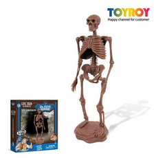 토이로이 네안데르탈인 원시인 공룡 화석 발굴 키트 뼈 조립, 1개, 네안데르탈인 키트