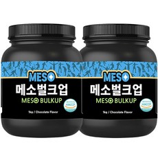 메소벌크업 탄수화물 살찌는 벌크업 체중증가 칼로리 동물성 식물성 단백질 헬스보충제 프로틴 wpc 유청단백질 가루 건강 선물, 1kg, 2개