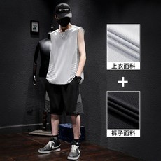 臺灣新款NEW速乾透氣跑步運動套裝男夏季冰絲無袖坎肩背心短褲新款休閒兩件套