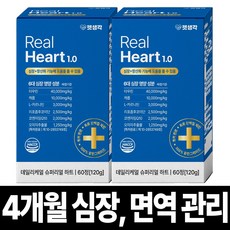 펫생각 리포좀 하트 강아지 심장 영양제 면역 항산화제 헥헥거림 노견 노령견 도움, 2개, 60정