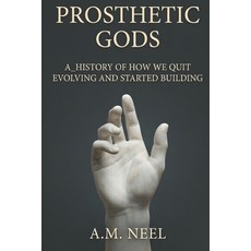 (영문도서)Prosthetic Gods: How We Outsourced the Body the World and the Mind Paperback