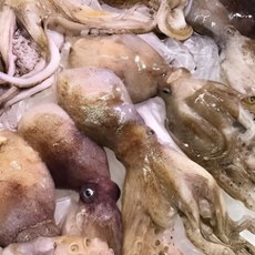 [파격특가] 자연산 급냉 쭈꾸미, 1박스, 2kg