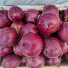 싱싱냠냠 영농조합법인 무안 자색양파 적양파, 1박스, 3kg(소)