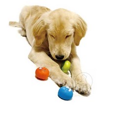 라세노 반려동물 장난감 라텍스 라텍스토이