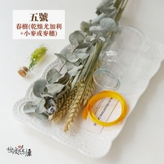 極度花燥 三號 乾燥滿天星 +4CM滿天星花 材料包, 五號,無