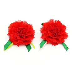 천 카네이션 코사지(박스형) 어버이날꽃 스승의날꽃 카네이션조화 브로치