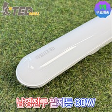 [TED MALL] 남영전구 LED 일자등 마일드 ECO 30W 6500K, 주광색