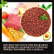 가온슬기 물고기사료 일반관상어용 가정용 전용사료, 범용 사료 100g 5-15cm, 1개, 1L