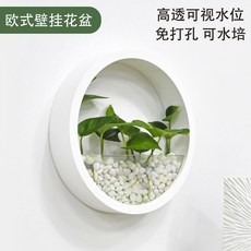 壁掛式花盆水培養綠蘿室內墻麵墻壁圓形個性北歐簡約餐廳裝飾花籃, 1個, 白色【加厚材質】,一個裝