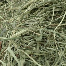 新手超友善簡單牧草搭配方式簡單易懂零門檻輕鬆照料各類小寵大型牲畜省時又省力, 1個, 提摩西一割1公斤 過篩, 1kg