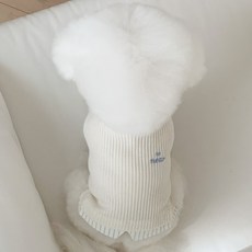 미니스톤 강아지 셔츠니트 레이어드티 목티 겨울옷 소형견 중형견 실내복, 1개, 화이트