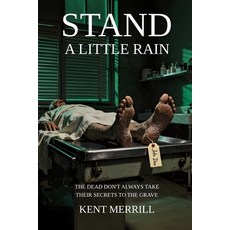 (英文圖書)Stand A Little Rain: A Historical Novel of Brotherhood Vietnam and the Price o... 平裝版, Independently Published, English