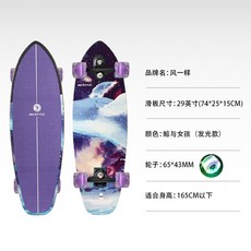 陸地衝浪板四輪滑板, 鯨與女孩_29寸發光, 1個