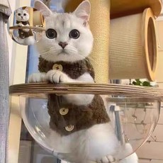 고양이옷 뽀글이 후리스 조끼 겨울 강아지옷, 아이보리 M, 아이보리=M, 아이보리_M