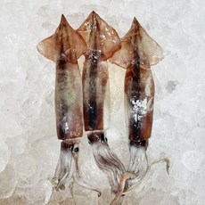국내산 내장 손질 통 오징어 급냉 통찜 구이, 1개, 500gx2팩