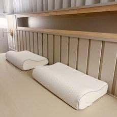 프리니아 메모리폼 경추 베개, 화이트, 2개