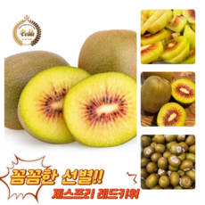 [굿피플] 레드키위 제스프리레드키위 kiwi 래드키위 과일키위, 제스프리 루비 레드키위 74g 15과, 1박스