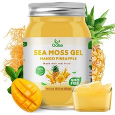 씨모스 젤 18.5온스 망고 파인애플 맛 유기농 생식 영양가 높은 102종 비타민 미네랄 단백질 풍부하며 비, Elderberry, 15 Ounce (Pack of 1)