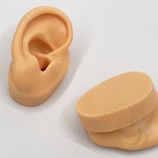 귀모형 실리콘 귀모양 귀모델 오른쪽
