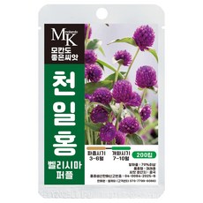 모칸도 좋은씨앗 천일홍 벨리시마 퍼플 씨앗 200립 꽃씨 꽃씨앗, 1개