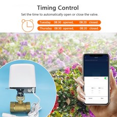 1/2인치 투야 지그비 와이파이 물 밸브 정원 자동 차단 타이머 관개 컨트롤러 알렉사 구글 홈, 01 WIFI version, 01 White DN20 EU plug