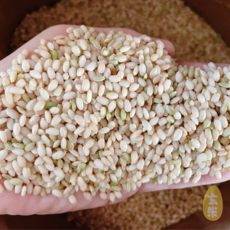 국산 찰현미 3kg 찹쌀현미 현미찹쌀-25년산 [정성든농수산], 1개