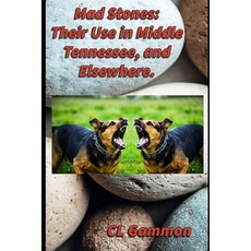 (영문도서)Mad Stones: Their Use in Middle Tennessee and Elsewhere. Paperback, Deep Read Press, English, 9781954989672