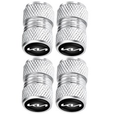 밸브캡 자동차밸브캡 알루미늄 합금, C_신형 실버 5개, 5개