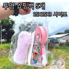 5P PVC 백 손잡이 가방 125X25X9 사이즈, 5개, 투명