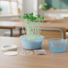 물에뜨는 새싹채소 키우기 무순재배기 화분 씨앗발아 부력 식물관찰 과학실험키트 (2인용)