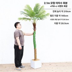 인조 야자수 모형 휴양지 분위기 목 조경 카페 장식, 2 . 1m 나무 화분 + F10 C 시멘트