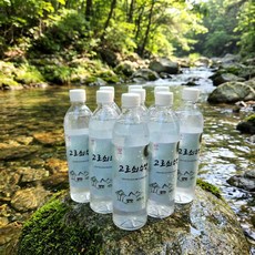 지리산 고로쇠 수액 500ml 10병, 단품