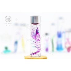 魚心標本藝術 透明生物標本 南極磷蝦 Euphausia superba 海洋生物標本, 1個