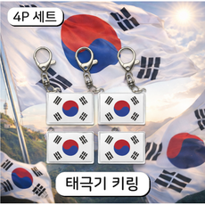 토브몰 태극기 키링 열쇠고리 4P 대한민국 국기 가방고리, 4개