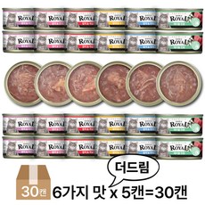 프리미엄 로얄 데일리 고양이캔, 60개, 60g, 6종콤보