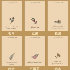 꽃 엽서, 12개, 식물 시리즈