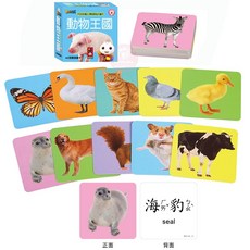 風車圖書 認知圖卡 FOOD超人 雙語造型圖卡 幼兒字卡 認知卡 學習卡 認知圖鑑 視覺遊戲 育智配對圖卡 幼兒圖卡, 動物王國-認知圖卡 / 1372