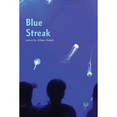 (英文圖書)Blue Streak 平裝版, Glass Lyre Press, 英文