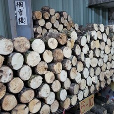 鍬形蟲繁殖專用產卵木 (8-10cm), 1個