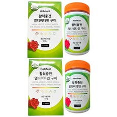 해비추얼 와이즐리 멀티비타민 구미 총 2개월분 594178, 해비추얼 와이즐리 멀티비타민 구미 총 2개월분 5941, 1개