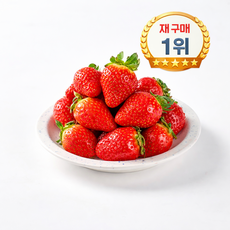 [ 재구매 1위 고당도 설향딸기 ] 산지직송 대과 왕특과 달콤 설향딸기, 1개, 왕특과 1kg 20구 ( 500g 2팩 )