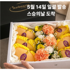 [스승의날] 태국 골드망고 생화 카네이션 프리미엄 선물세트예약상품, 1박스