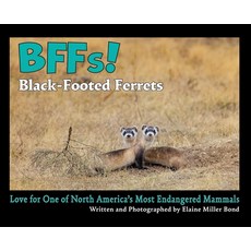 (英文圖書)BFFs! Black-Footed Ferrets: Love for One of North Americas Most Endangered Species 精裝版, True North Editions, 英文