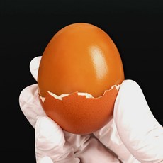 HACCP인증 구운계란 중란, 1개, 90구