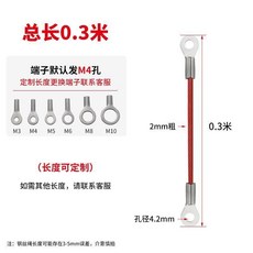 310彩色包膠304不鏽鋼鋼絲保險繩電動車尾箱繩燈具安全魚眼端子 副廠商品, 1個, 2mm厚*0.3米長+紅色包塑+M4端子