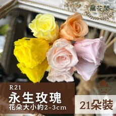 藏花園 CAN LONGER 永生玫瑰, 36鮭魚粉