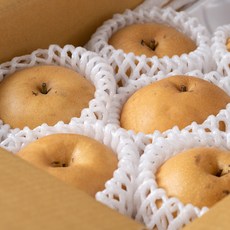 나주로농산 자연진리 나주배 가정용, 1개, 나주배 가정용 3kg 4-7과