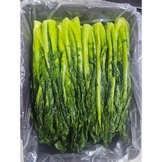 [재영농산] 주문 담그는 여수 돌산 절임갓 (갓김치용 생산 신선 절임) [원산지:국산(전라남도 여수시)], 3kg, 1박스